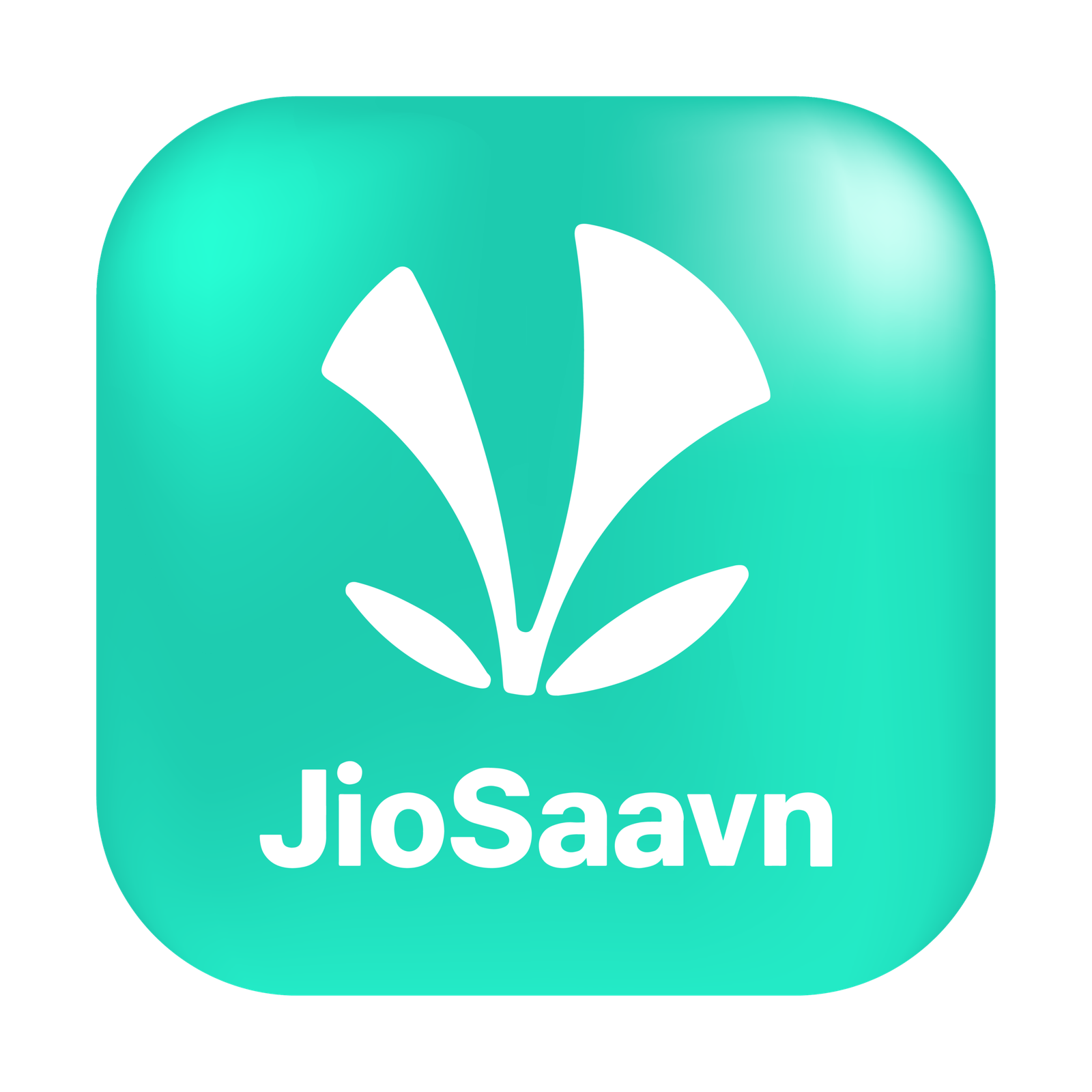 Platform Icon